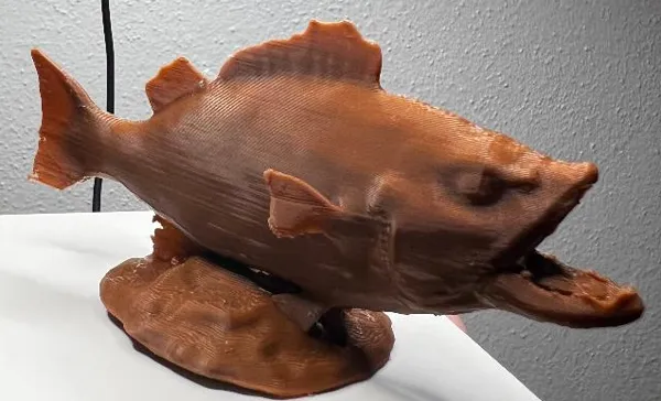 https://makerworld.bblmw.com/makerworld/model/DSM00000000807171/design/2024-11-20_058104557d1c.jpg