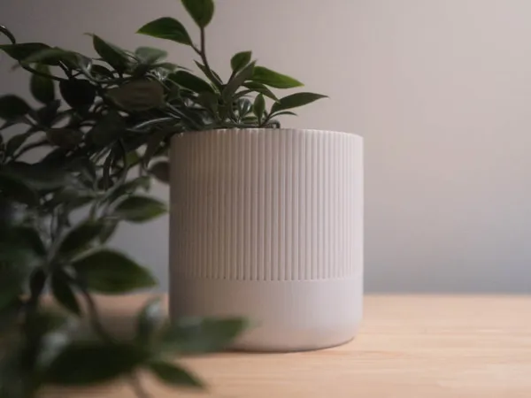 https://makerworld.bblmw.com/makerworld/model/DSM00000000807209/design/2024-11-20_0b2819f329e0c.png