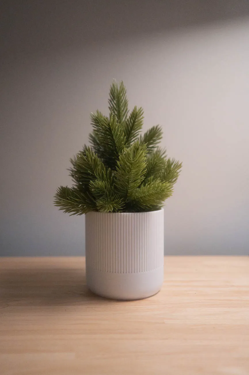 IKEA Fejka Efeutopf  Kostenloses 3D-Druckmodell  MakerWorld