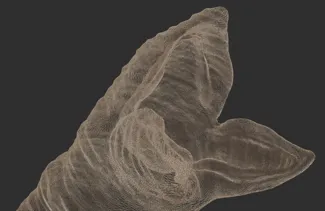 PRINTABLE Dune Worm 3D modell