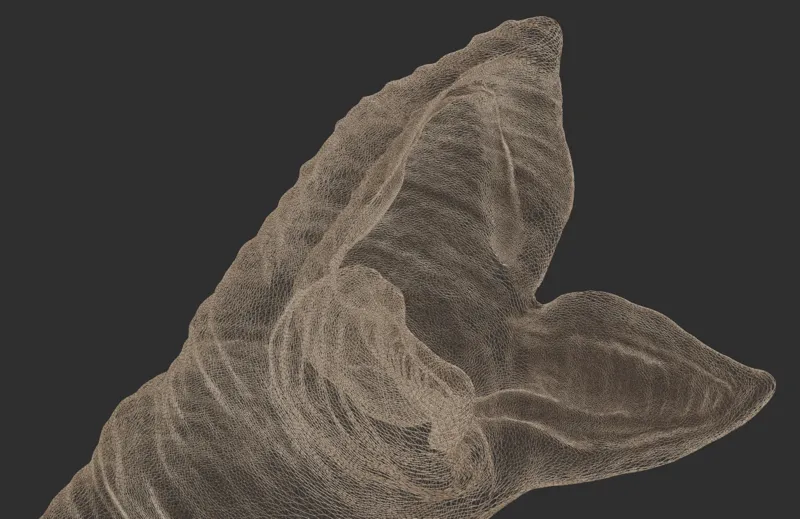 PRINTABLE Dune Worm 3D modell