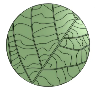 Modern Fall/Christmas Leaf Coaster