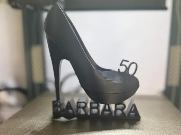 https://makerworld.bblmw.com/makerworld/model/DSM00000000807907/design/2024-11-21_500549572400d.jpeg