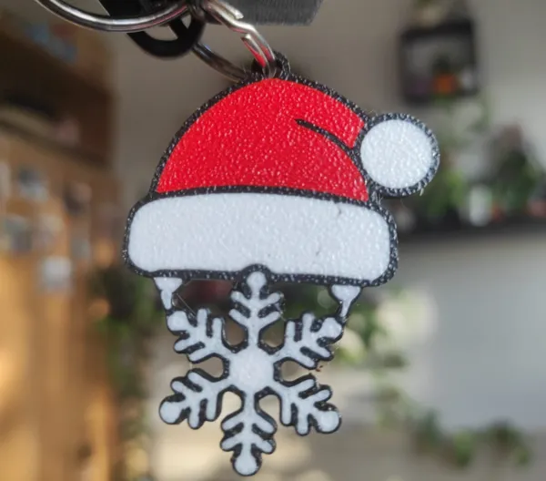 https://makerworld.bblmw.com/makerworld/model/DSM00000000808033/design/2024-11-21_025c4e9158b3c.jpg