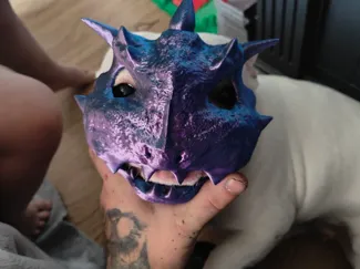 Dog mask