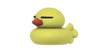 Ahiru Duck (rubber duck)