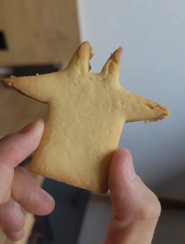 Cat cookie cutter