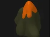 山