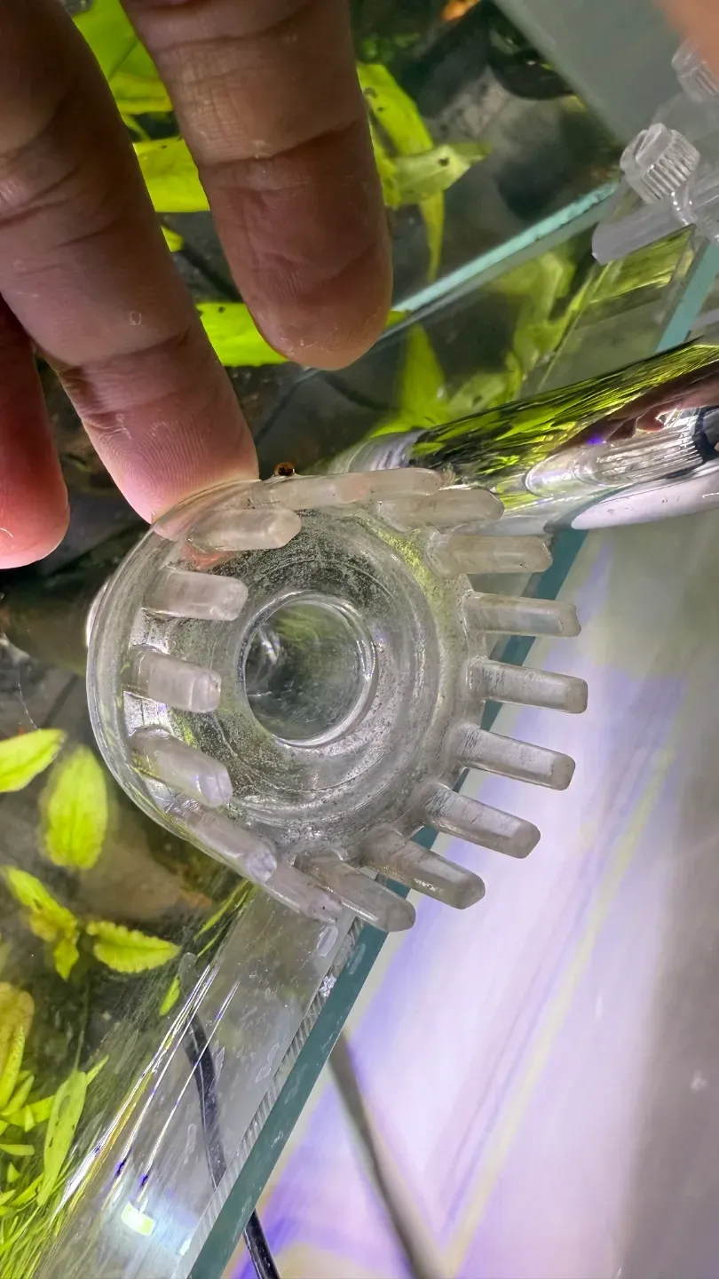 Aquarium Inlet Guard, Anti-Fish Suction by Morgan - MakerWorld