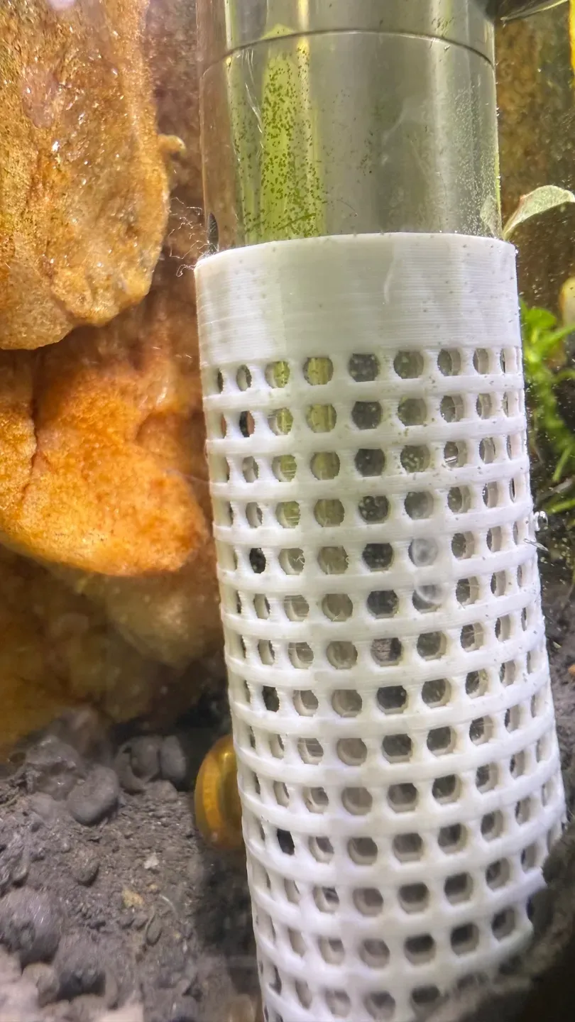 Aquarium Inlet Guard, Anti-Fish Suction by Morgan - MakerWorld
