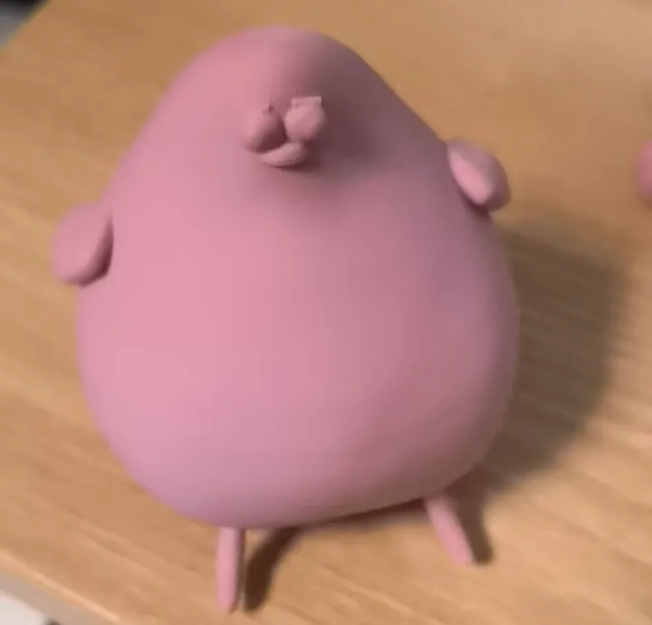 肥的海鸥