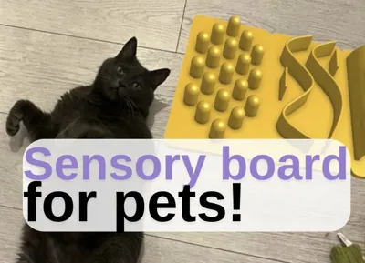 Sensory board for pets! (Modular, expandable)