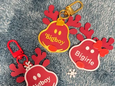 Personalized Christmas ornaments Christmas decorations Reindeer