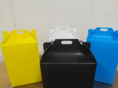 A More Robust Gift Box Packaging (First Layer Test)