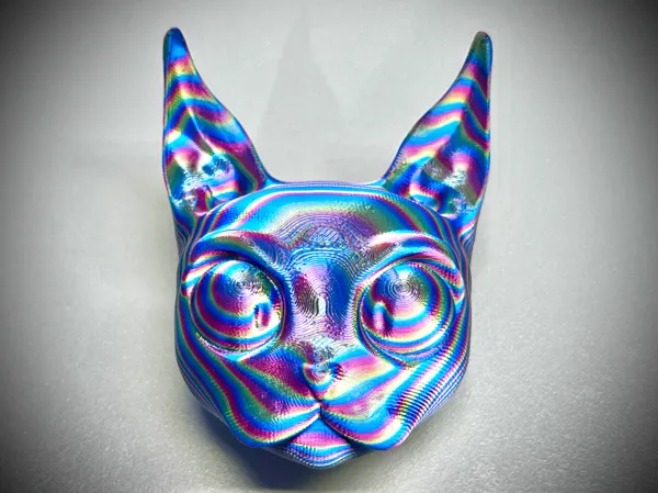 https://makerworld.bblmw.com/makerworld/model/DSM00000000818149/design/2025-01-13_ae6c5b0e520e.jpg