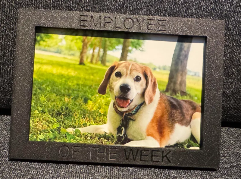 Employee of the Week Magnetic Frame
