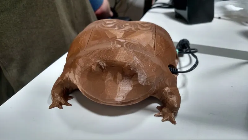 Wednesday Frog Raspberry Pi Case