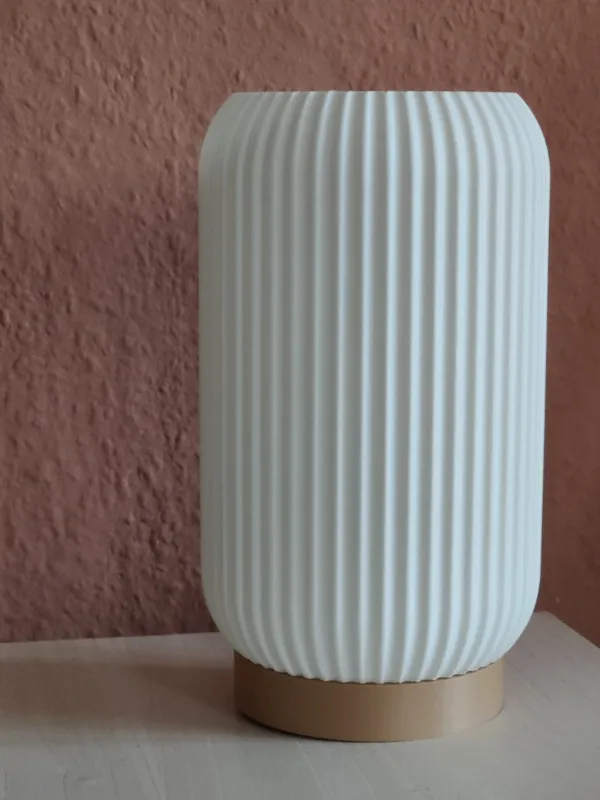 https://makerworld.bblmw.com/makerworld/model/DSM00000000827912/design/2024-11-27_a20244bd69208.jpg