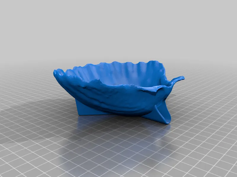 Sea Shell Soap Dish