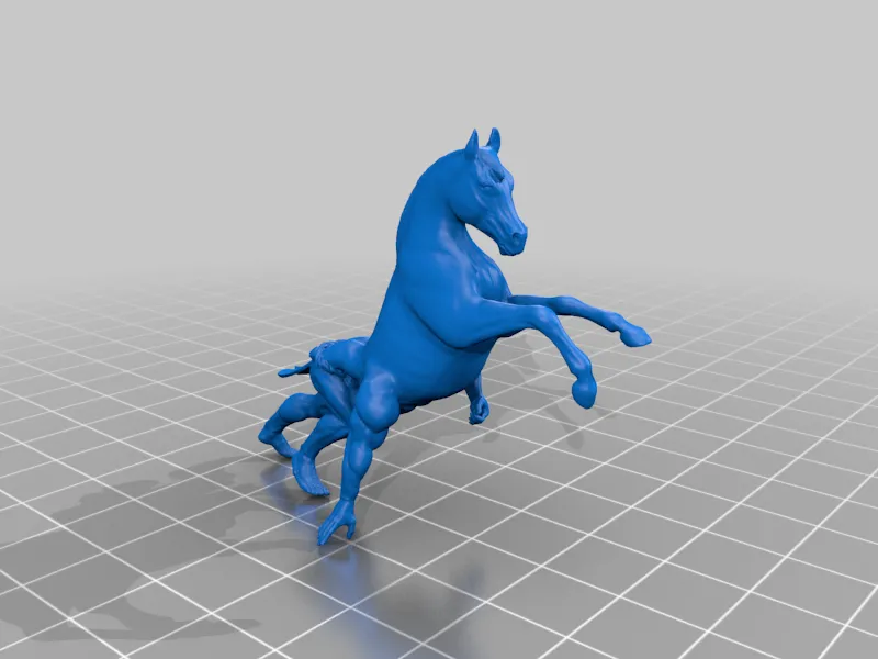 Reverse Centaur