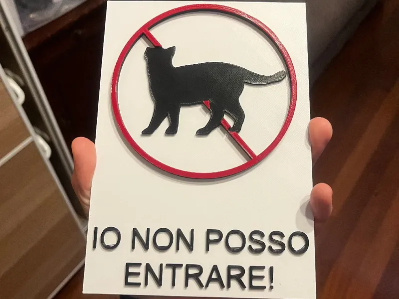 Io non posso entrare - i can't enter
