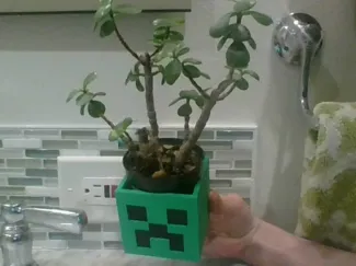 minecraft slime and creeper pot