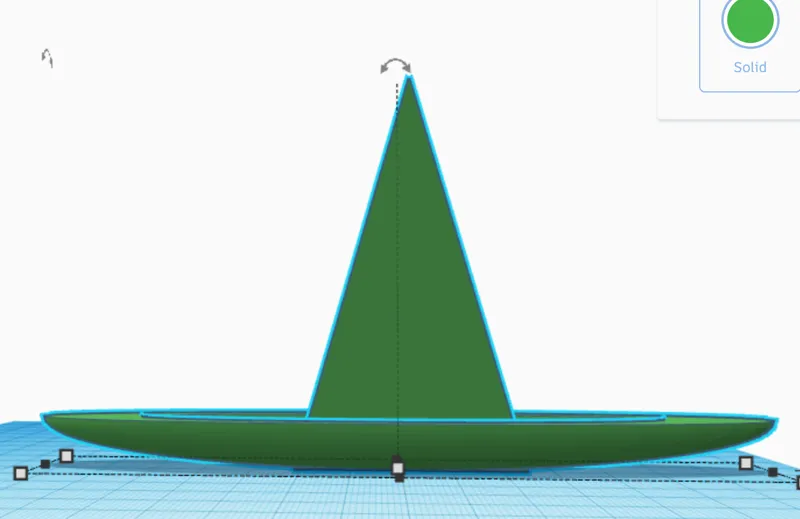boat/salsa hat
