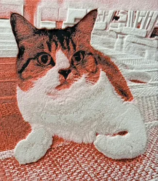 HueForge cat
