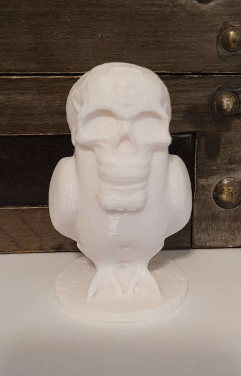 Owl with skull