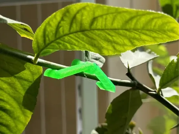 https://makerworld.bblmw.com/makerworld/model/DSM00000000835140/design/1588536f-f10e-4e97-9acc-be8204f429e7.webp