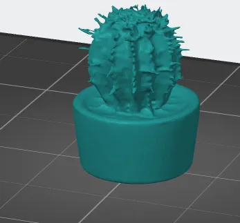 cactus