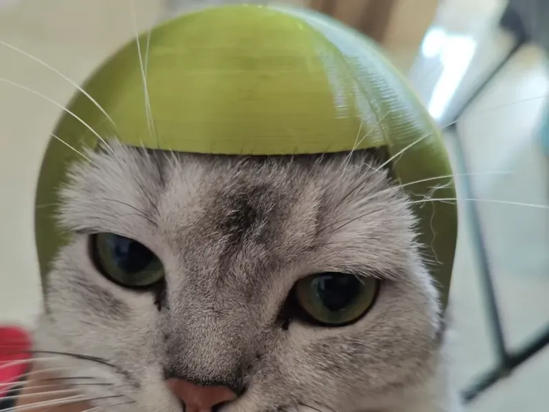 可爱猫猫帽