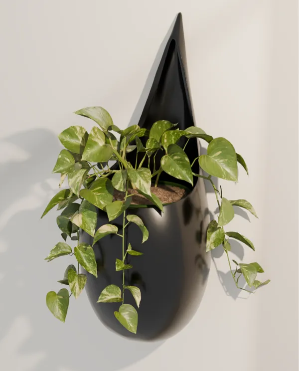 https://makerworld.bblmw.com/makerworld/model/DSM00000000840459/design/2024-12-01_5033d2f61491e.png