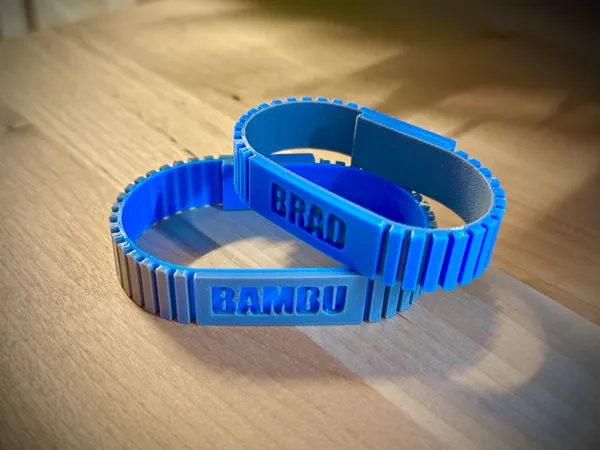 https://makerworld.bblmw.com/makerworld/model/DSM00000000840617/design/2024-12-01_ac439edf289eb.jpg