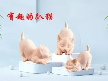 趴猫
