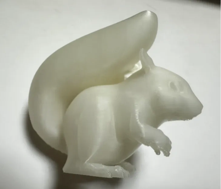 可爱的小松鼠