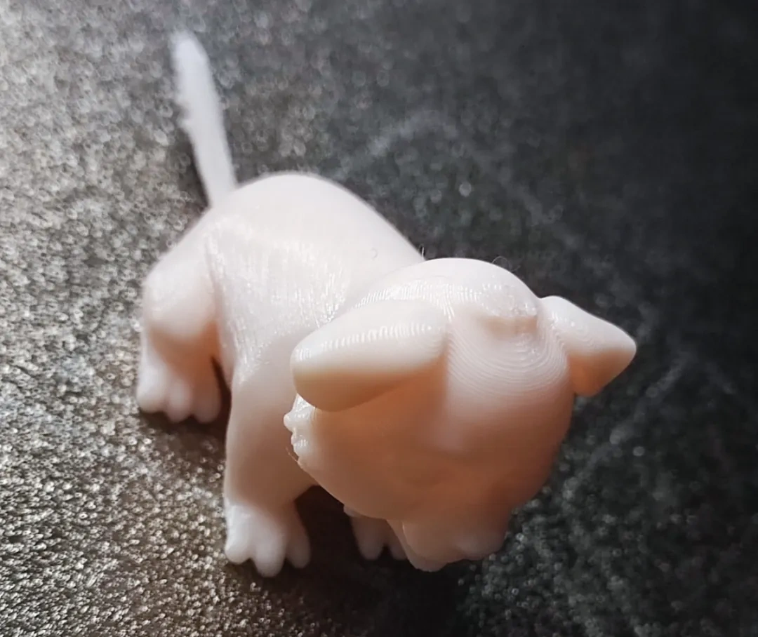 可爱的小狗 Cute little dog