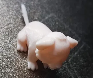 可爱的小狗 Cute little dog