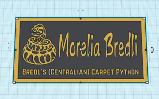 Centralian Carpet Python (Morelia Bredli) ID Sign