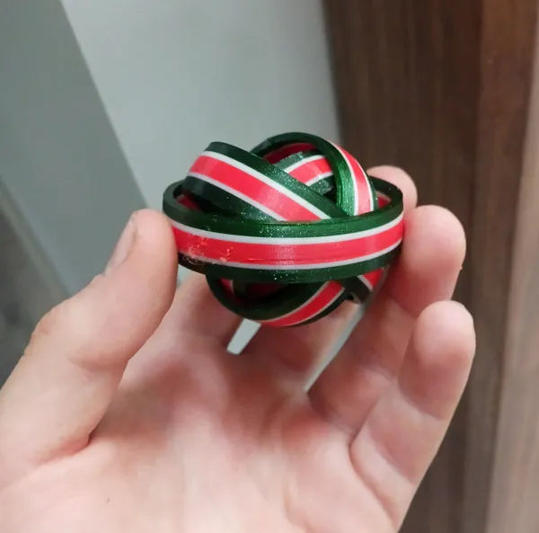 https://makerworld.bblmw.com/makerworld/model/DSM00000000845867/design/2024-12-04_ocgztqjjuss8.jpg