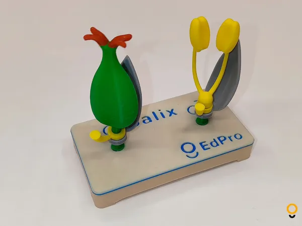 https://makerworld.bblmw.com/makerworld/model/DSM00000000845944/design/2024-12-03_55bd732d92c5f.jpg