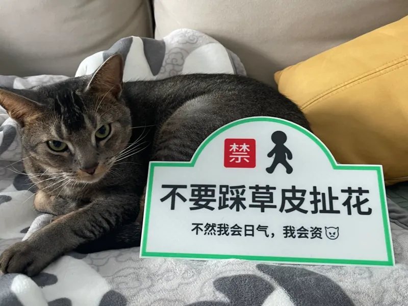 警示标志，不要踩草坪，云南话版
