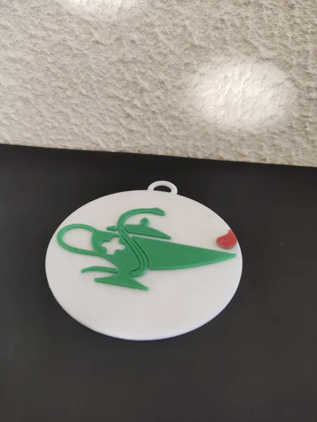 https://makerworld.bblmw.com/makerworld/model/DSM00000000848185/design/2024-12-04_xgzwl63ksy13.jpg