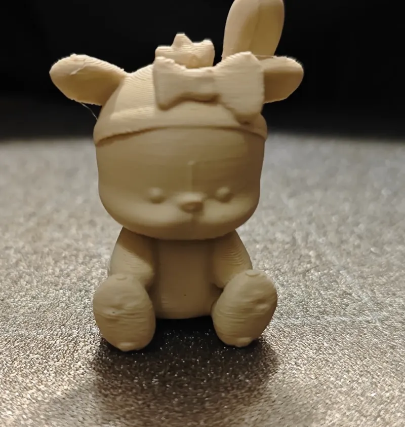 坐着的帕恰狗