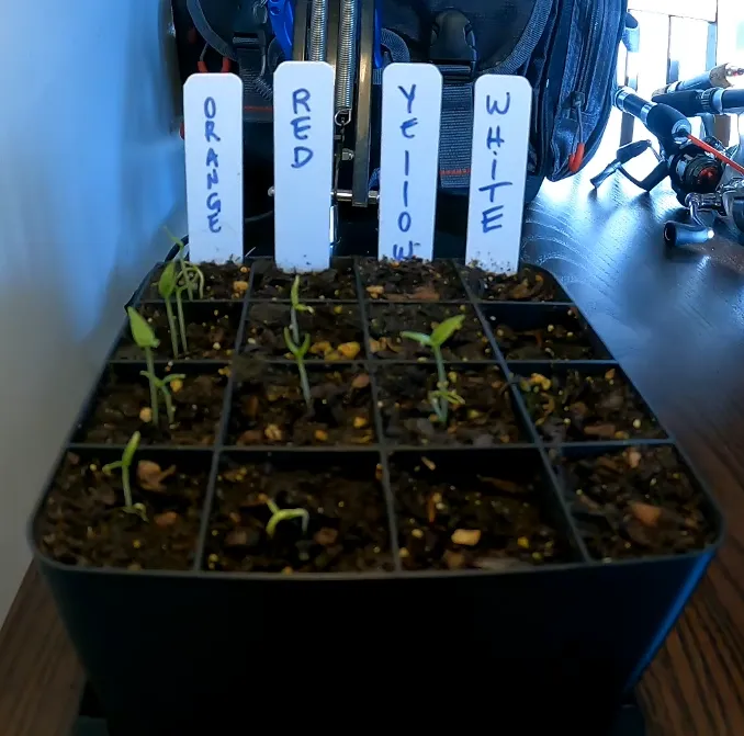 Seed Starter Pot 4x4