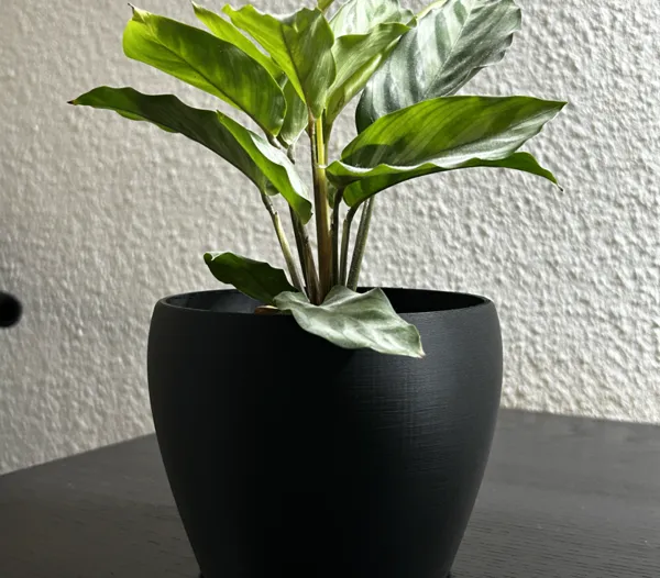 https://makerworld.bblmw.com/makerworld/model/DSM00000000850794/design/2024-12-05_14d3a2ef5769f.jpg