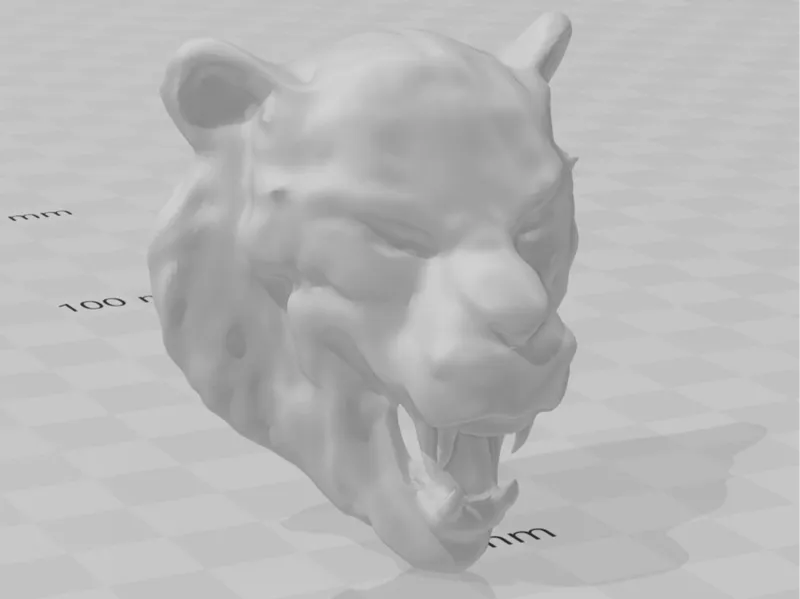 angry tiger face/head