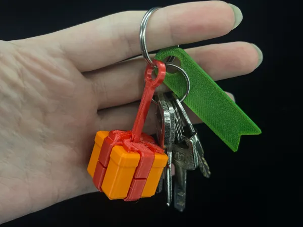 https://makerworld.bblmw.com/makerworld/model/DSM00000000853270/design/2024-12-06_79f6f9fac51e5.jpg