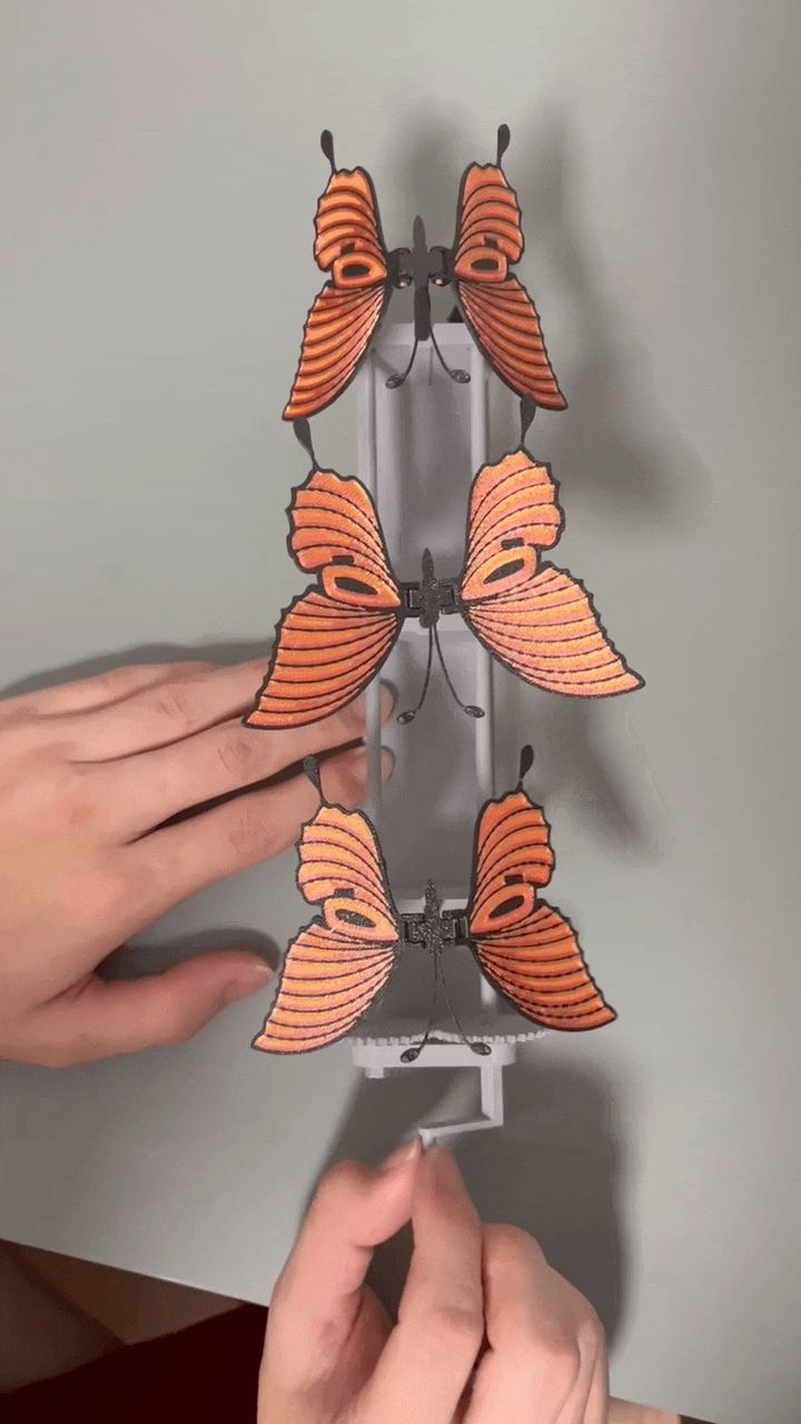 翩翩起舞的蝴蝶
