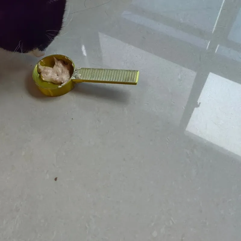 猫食盒